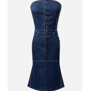 NWT Tube Denim Button Front Dress